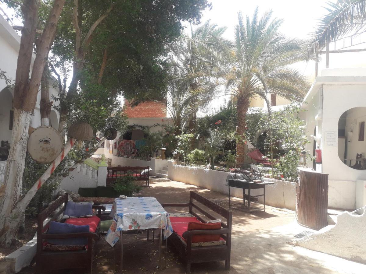 Fighting Kangaroo Camp Hotel Dahab Exterior foto