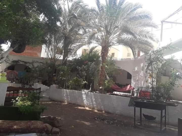 Fighting Kangaroo Camp Hotel Dahab Exterior foto