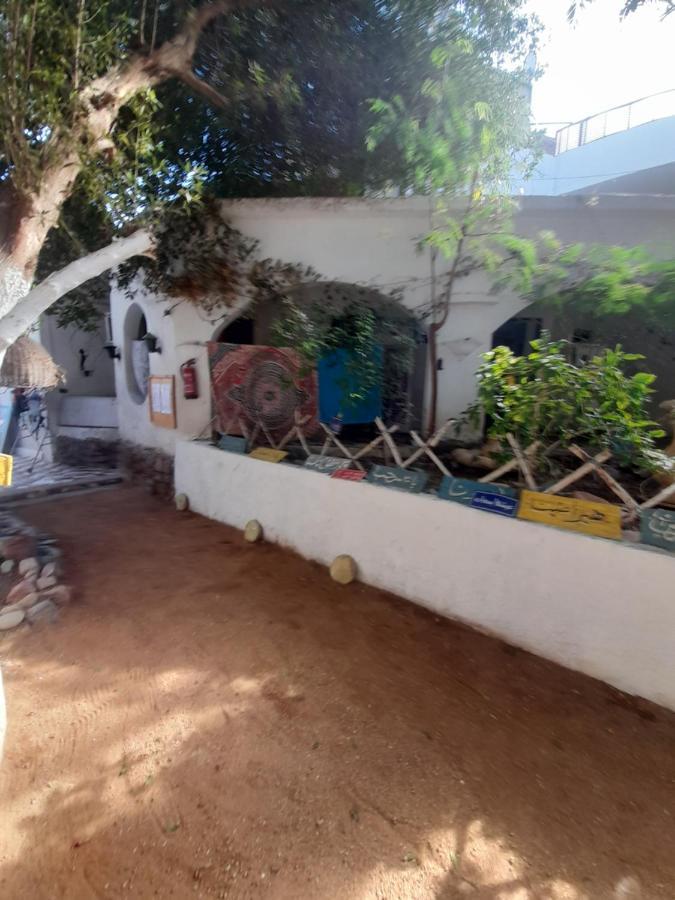 Fighting Kangaroo Camp Hotel Dahab Exterior foto