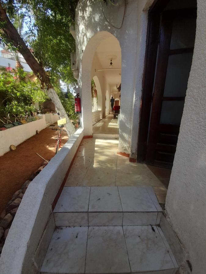Fighting Kangaroo Camp Hotel Dahab Exterior foto