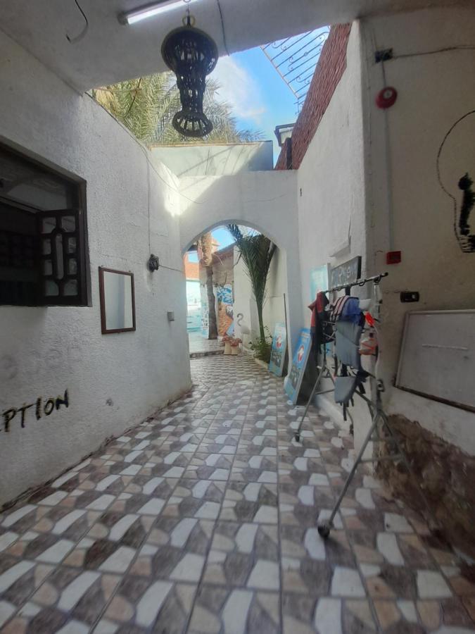 Fighting Kangaroo Camp Hotel Dahab Exterior foto