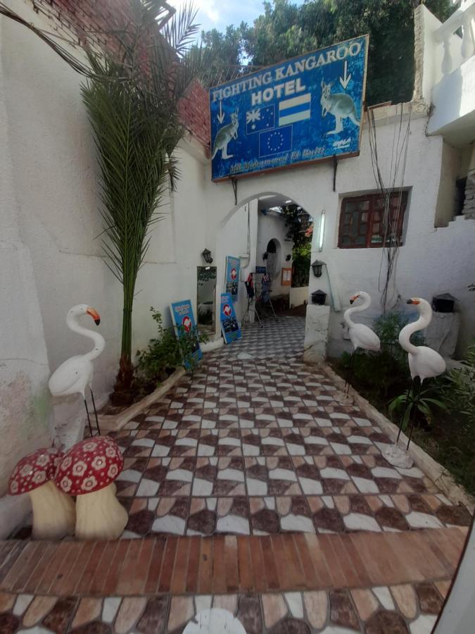 Fighting Kangaroo Camp Hotel Dahab Exterior foto